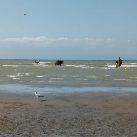 Ferienhaus Vissershuisje 45