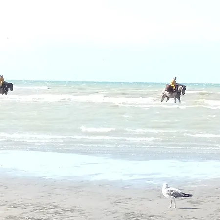 Vissershuisje 45 * Koksijde